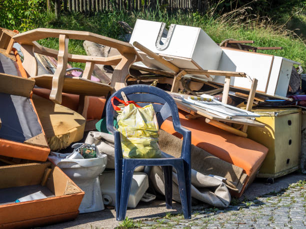 Yard Cleanup Services in Warm Mineral Springs, FL